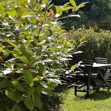 Apartamento Cà Maurizio Garden Venezia *