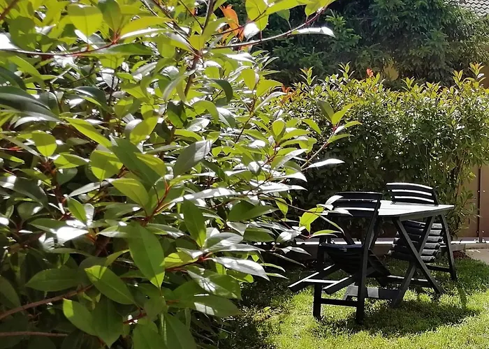 Apartamento Cà Maurizio Garden Venezia *